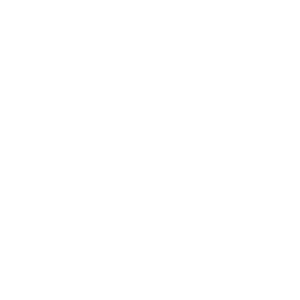 יובל סגל בנייה בעץ